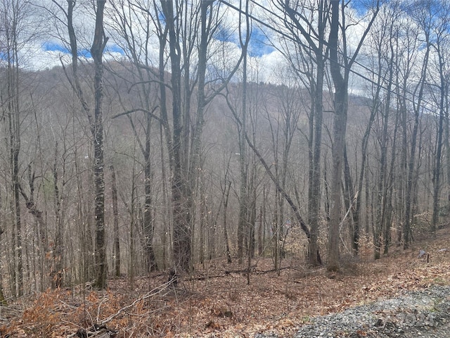 Listing photo 3 for TBD Fox Den Rd, Mars Hill NC 28754