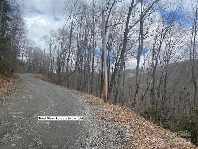 Listing photo 2 for TBD Fox Den Rd, Mars Hill NC 28754