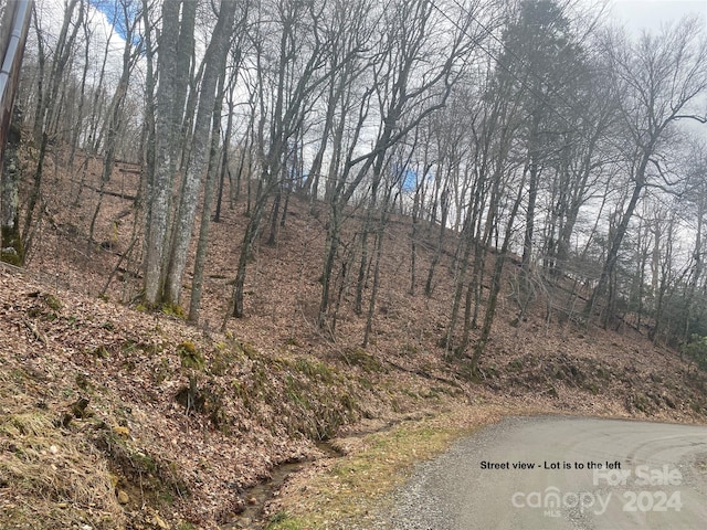 Listing photo 3 for TBD Spring Valley Dr, Mars Hill NC 28754