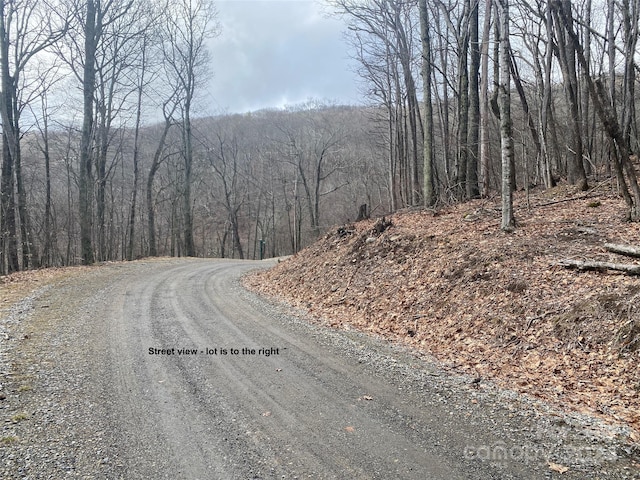 Listing photo 2 for TBD Hamlin Ln, Mars Hill NC 28754