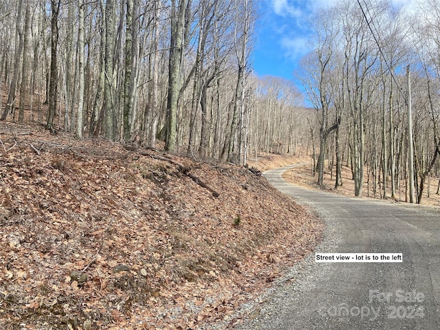 Listing photo 3 for TBD Hamlin Ln, Mars Hill NC 28754