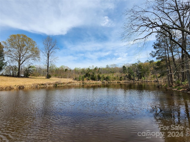 6323 Witherspoon Trl, Lancaster, SC 29720 - photo 4