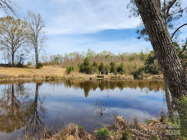 6323 Witherspoon Trl, Lancaster, SC 29720 - photo 22