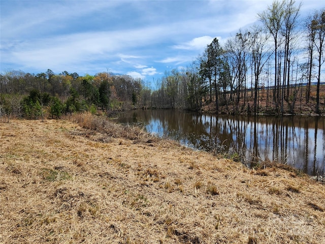 6323 Witherspoon Trl, Lancaster, SC 29720 - photo 26