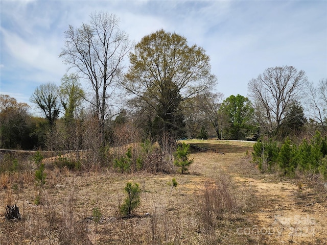 6323 Witherspoon Trl, Lancaster, SC 29720 - photo 28