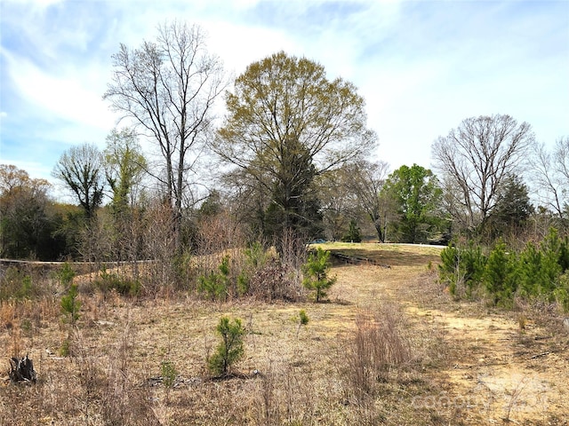 6323 Witherspoon Trl, Lancaster, SC 29720 - photo 34