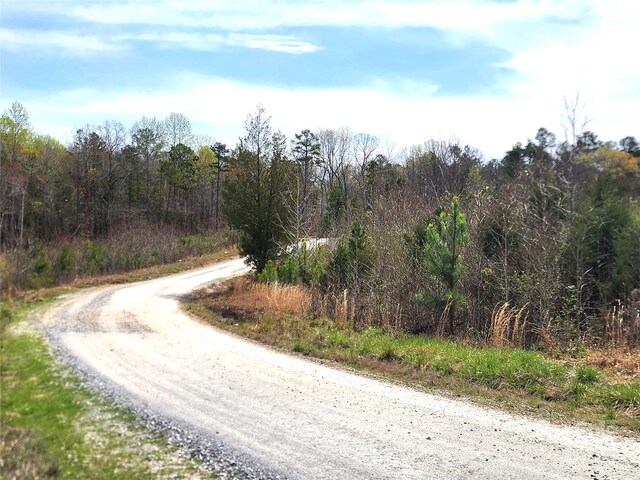 6323 Witherspoon Trl, Lancaster, SC 29720 - photo 35