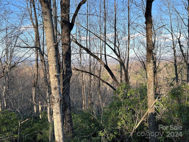 00 Howell Rd, Brevard NC, 28712 land for sale