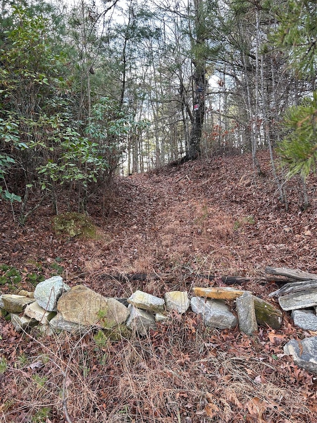 Listing photo 3 for 00 Howell Rd, Brevard NC 28712