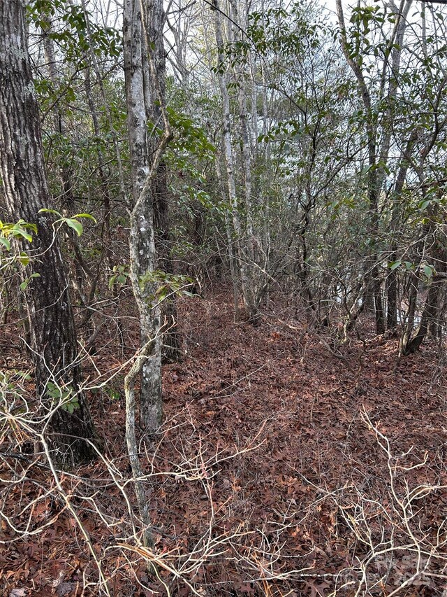 00 Howell Rd, Brevard, NC 28712 - photo 2