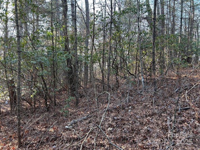 00 Howell Rd, Brevard, NC 28712 - photo 3