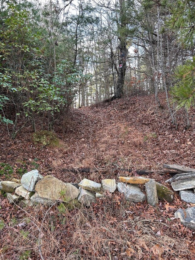 00 Howell Rd, Brevard, NC 28712 - photo 4