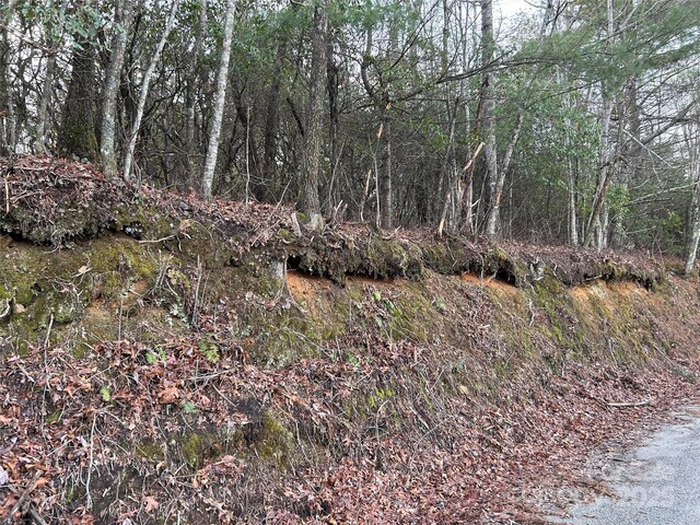 00 Howell Rd, Brevard, NC 28712 - photo 5