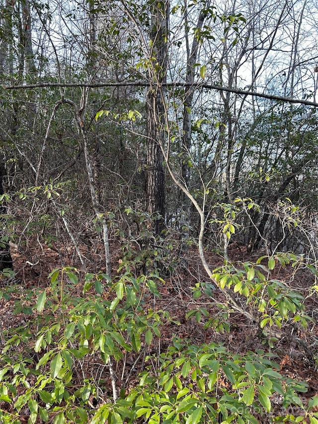 00 Howell Rd, Brevard, NC 28712 - photo 6