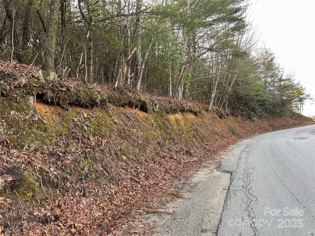 00 Howell Rd, Brevard, NC 28712 - photo 7