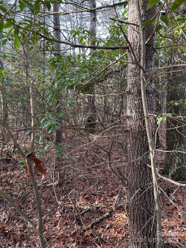 00 Howell Rd, Brevard, NC 28712 - photo 8