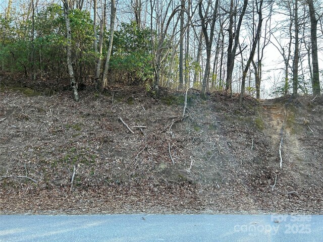 00 Howell Rd, Brevard, NC 28712 - photo 10