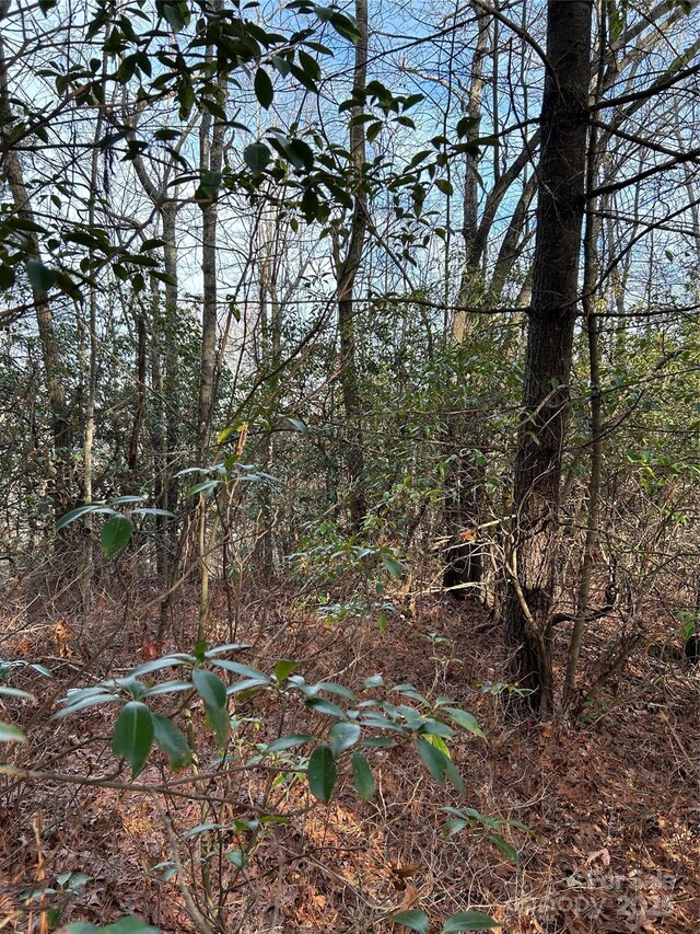 00 Howell Rd, Brevard, NC 28712 - photo 12