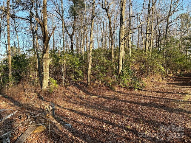 00 Howell Rd, Brevard, NC 28712 - photo 13