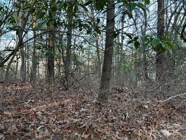 00 Howell Rd, Brevard, NC 28712 - photo 14