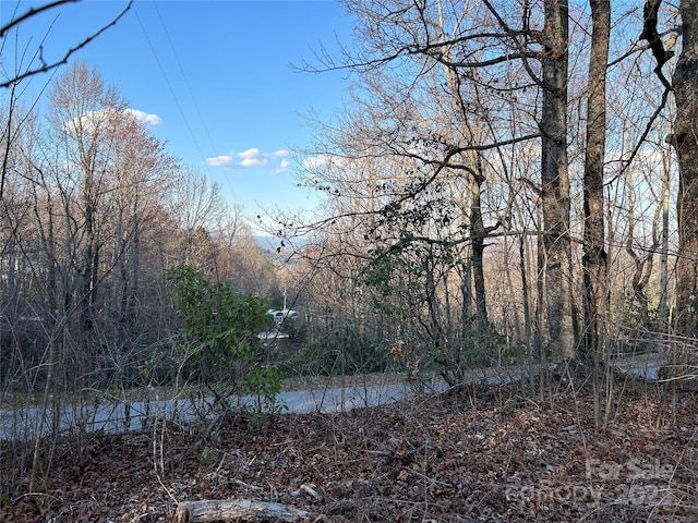 00 Howell Rd, Brevard, NC 28712 - photo 15