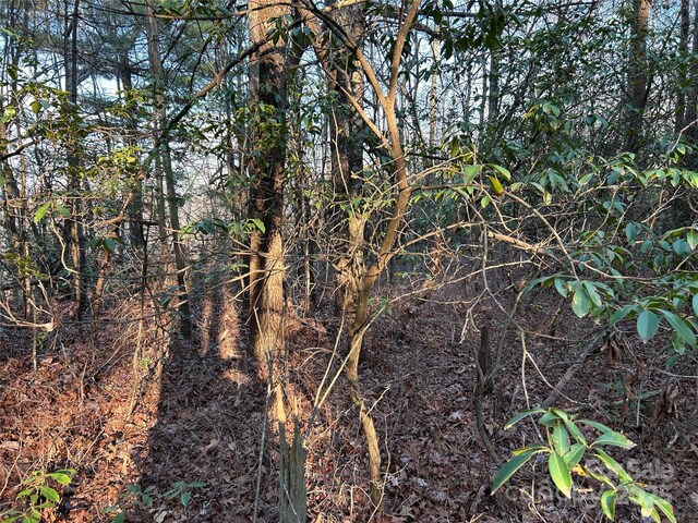 00 Howell Rd, Brevard, NC 28712 - photo 16