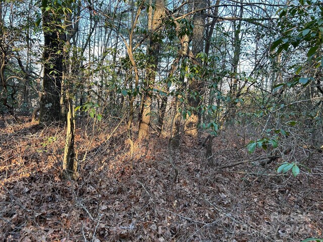00 Howell Rd, Brevard, NC 28712 - photo 17