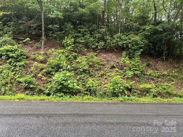 00 Howell Rd, Brevard, NC 28712 - photo 18