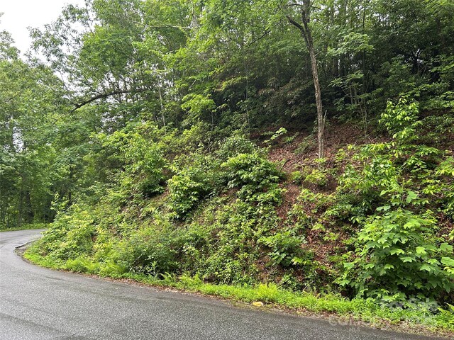 00 Howell Rd, Brevard, NC 28712 - photo 19