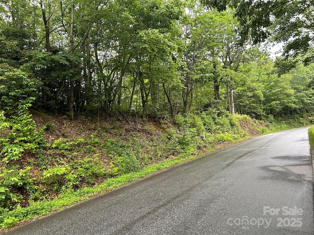 00 Howell Rd, Brevard, NC 28712 - photo 20