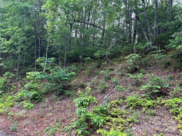 00 Howell Rd, Brevard, NC 28712 - photo 21