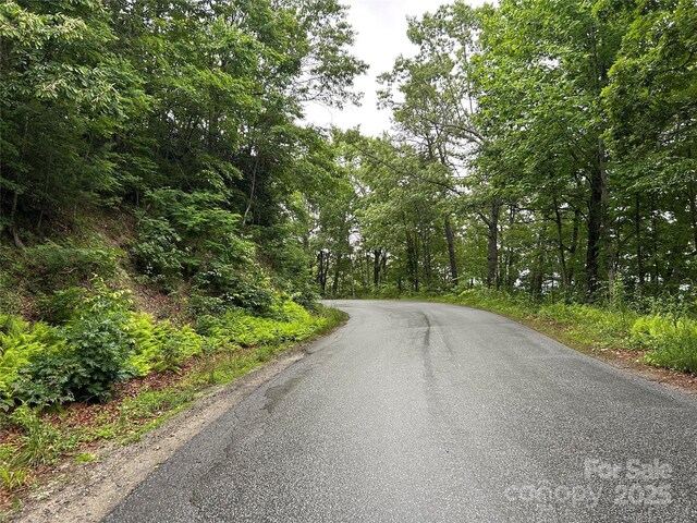 00 Howell Rd, Brevard, NC 28712 - photo 22