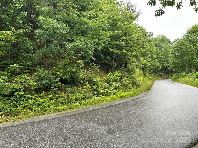 00 Howell Rd, Brevard, NC 28712 - photo 23