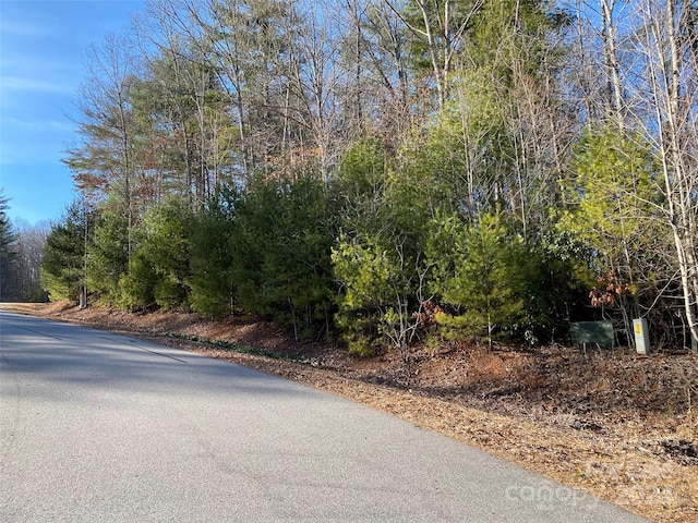 Listing photo 2 for L2 Oxford Ct Unit S2P1L2, Brevard NC 28712