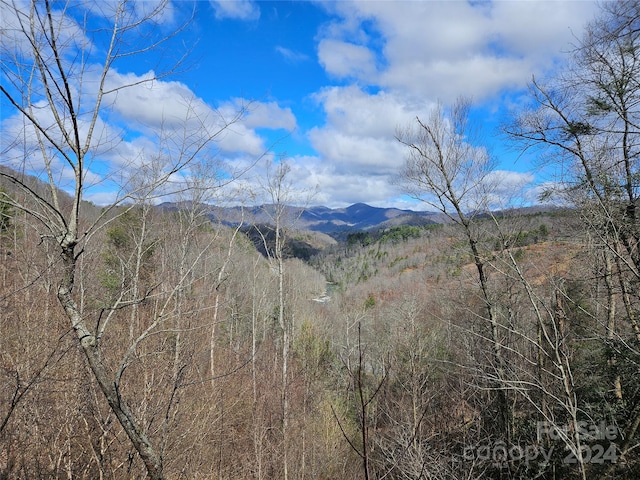 99999 White Oak Rd, Waynesville NC, 28785 land for sale