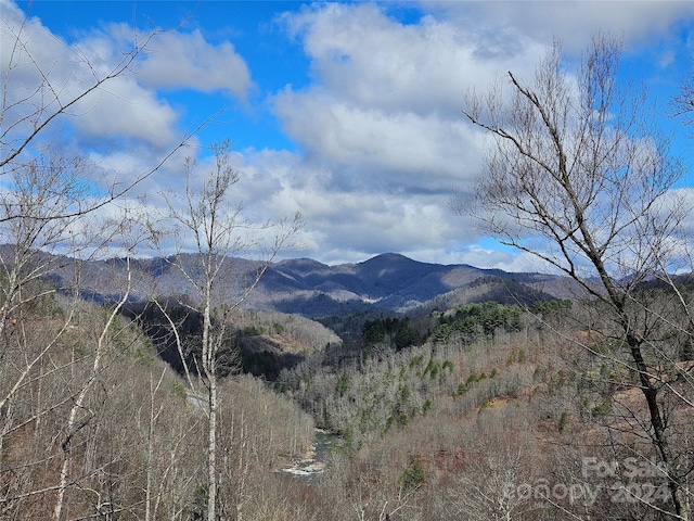 Listing photo 2 for 99999 White Oak Rd, Waynesville NC 28785