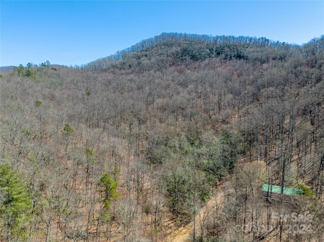 Listing photo 3 for 000 Bee Branch Dr Unit 26-29, Franklin NC 28734