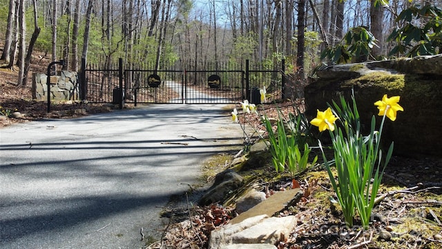 Listing photo 2 for 99999 Sir Winston Way Lot 52, Marion NC 28752