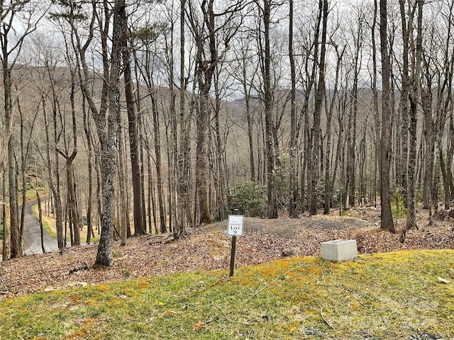 Listing photo 3 for LOT10 Sunset Ridge Rd, Boone NC 28607