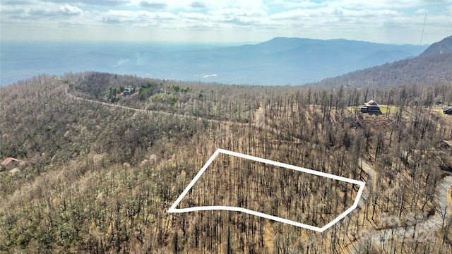 LOT20 Sunset Ridge Dr Unit 20, Columbus NC, 28722 land for sale