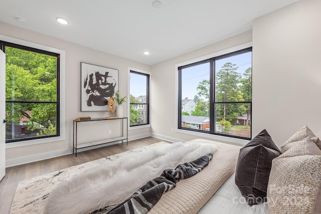 bedroom featuring multiple windows and light wood-type flooring