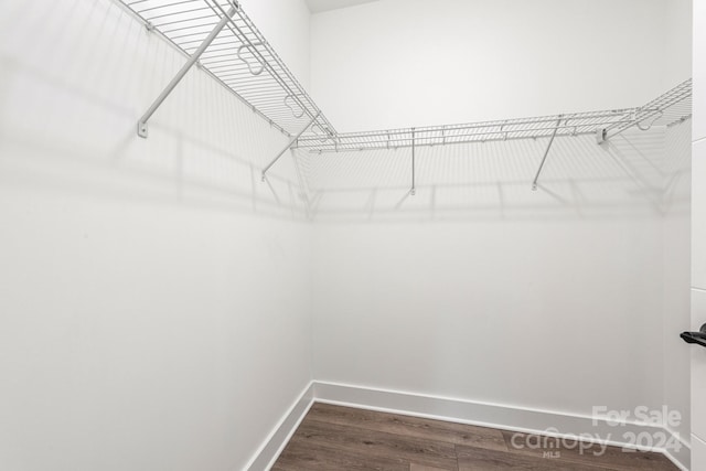 spacious closet featuring wood-type flooring