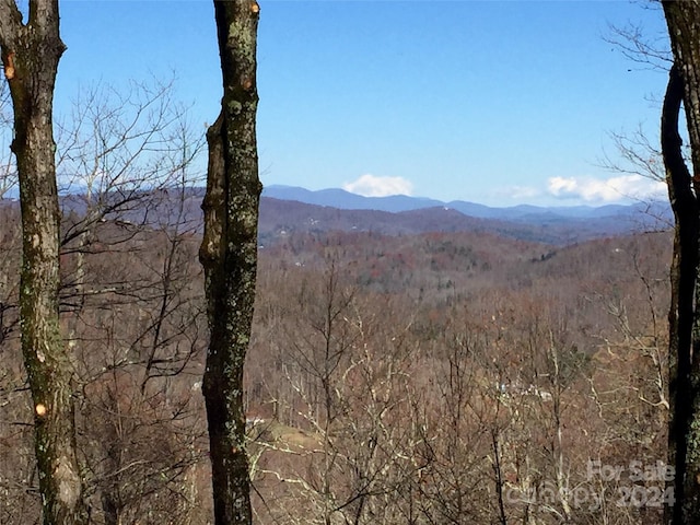 LOT18 Panther Mountain Rd Unit 18, Zirconia NC, 28790 land for sale