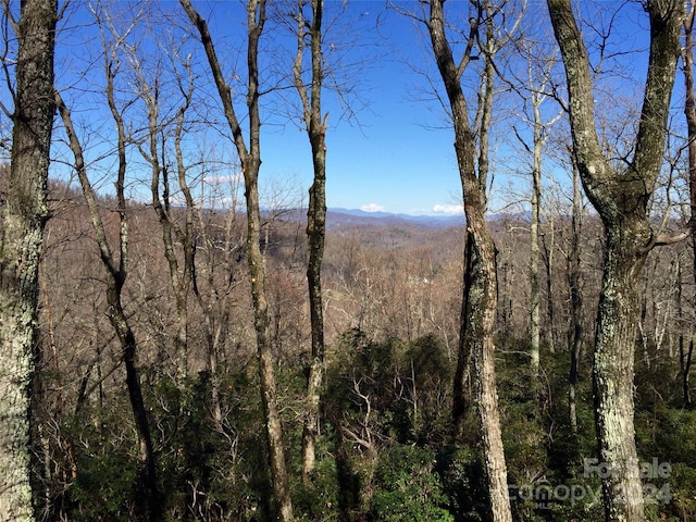 Listing photo 2 for LOT18 Panther Mountain Rd Unit 18, Zirconia NC 28790