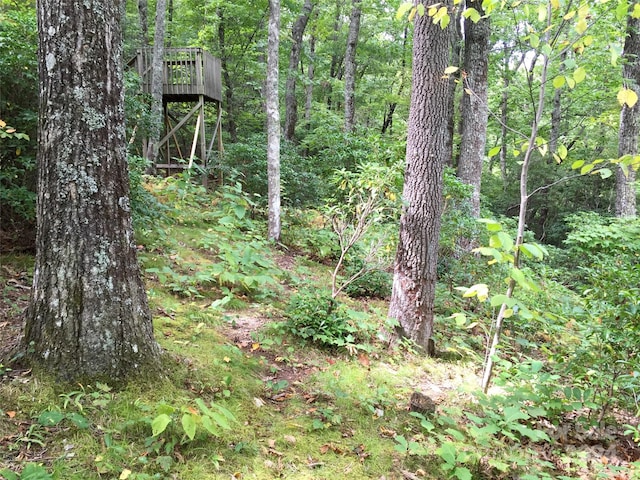 Listing photo 3 for LOT18 Panther Mountain Rd Unit 18, Zirconia NC 28790