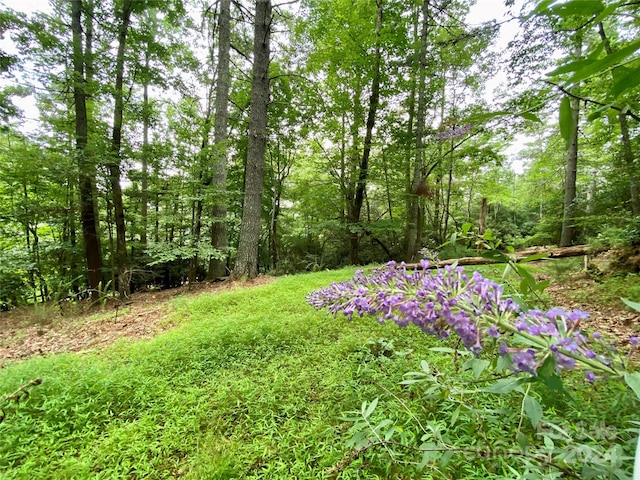 Listing photo 3 for 400 Emerald Hills Dr, Pisgah Forest NC 28768