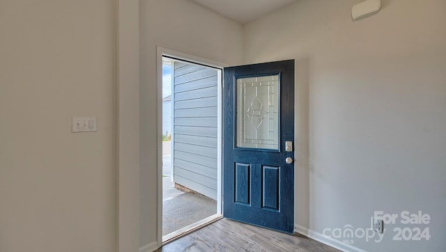 entrance foyer featuring light hardwood / wood-style flooring