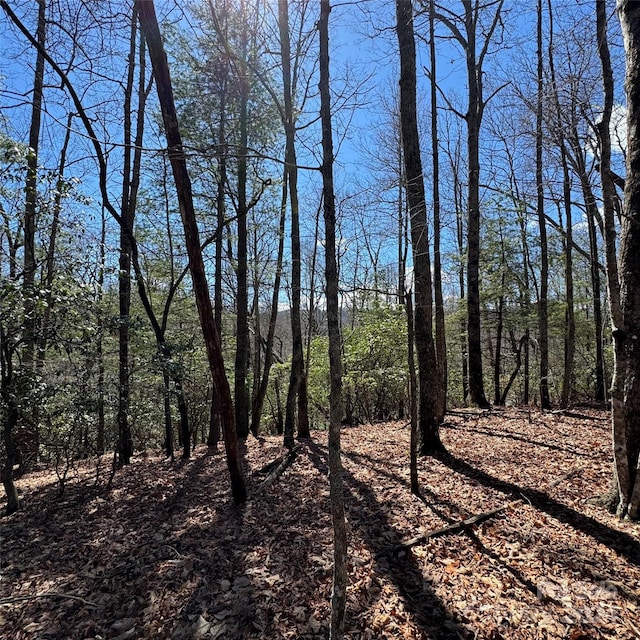 TRACT32-B Kentwood Ln, Pisgah Forest NC, 28768 land for sale