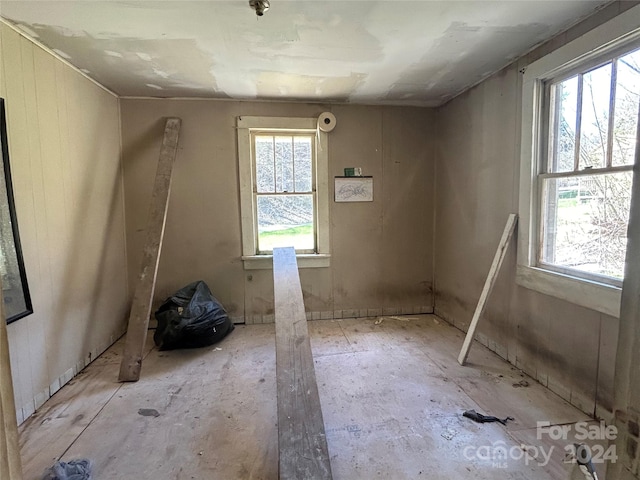 miscellaneous room featuring plenty of natural light