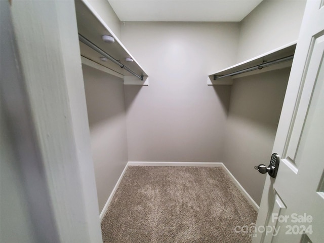 spacious closet featuring carpet flooring